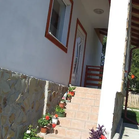 Pensiunea Agroturistica Ioana Bradulet Exterior photo