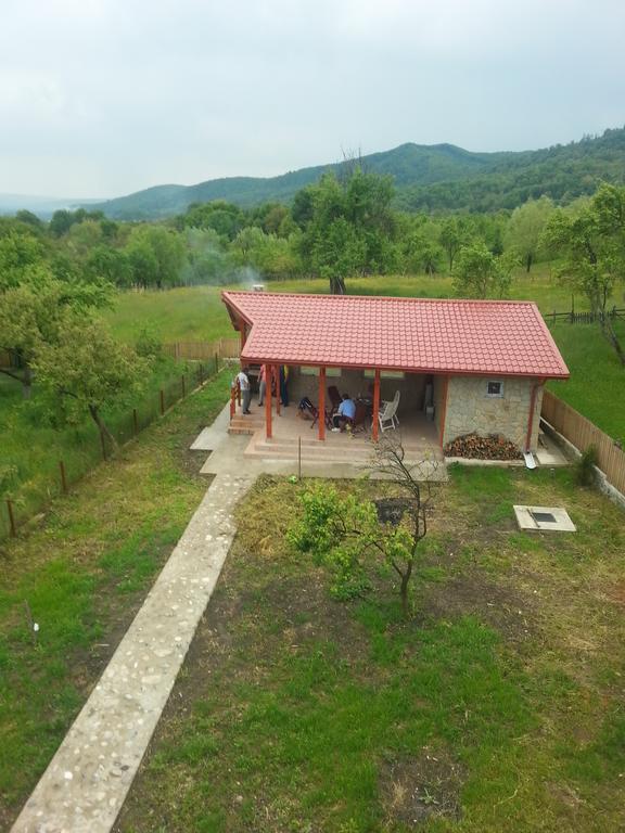 Pensiunea Agroturistica Ioana *