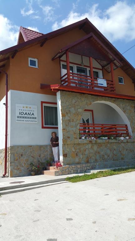 Pensiunea Agroturistica Ioana Farm stay *