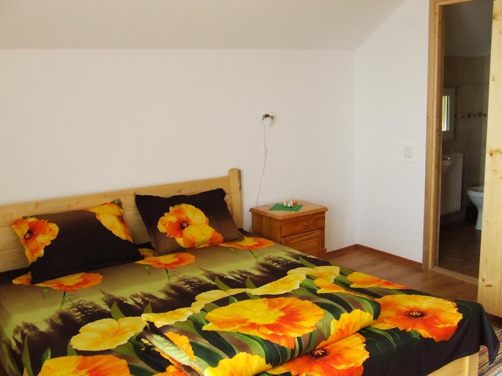 Pensiunea Agroturistica Ioana Farm stay *