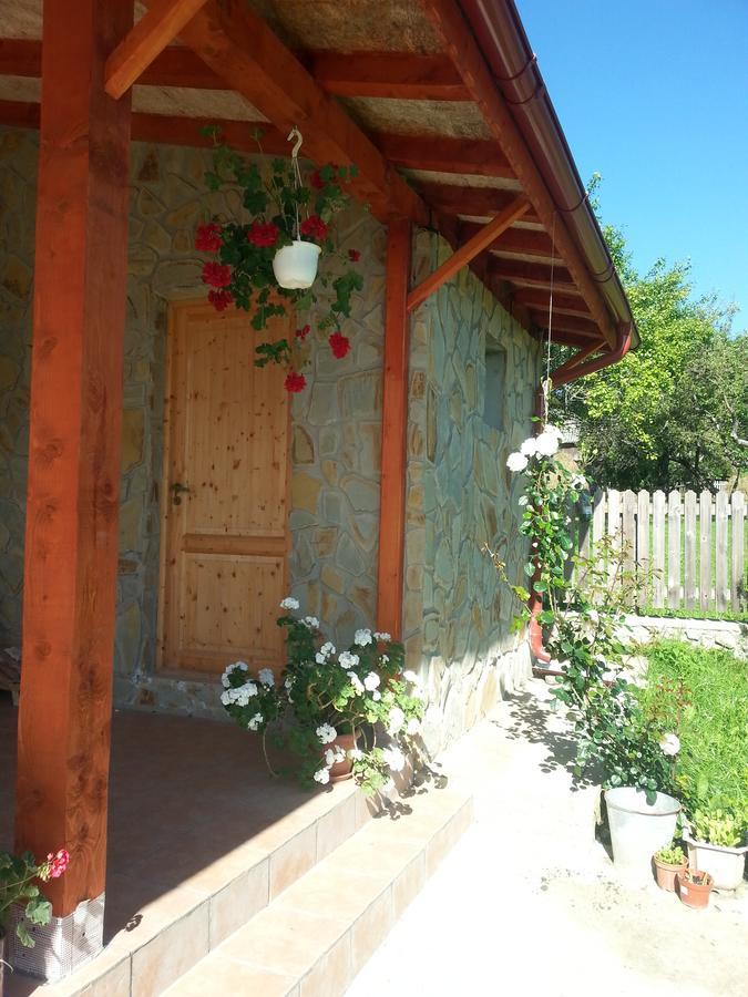 Farm stay Pensiunea Agroturistica Ioana Bradulet