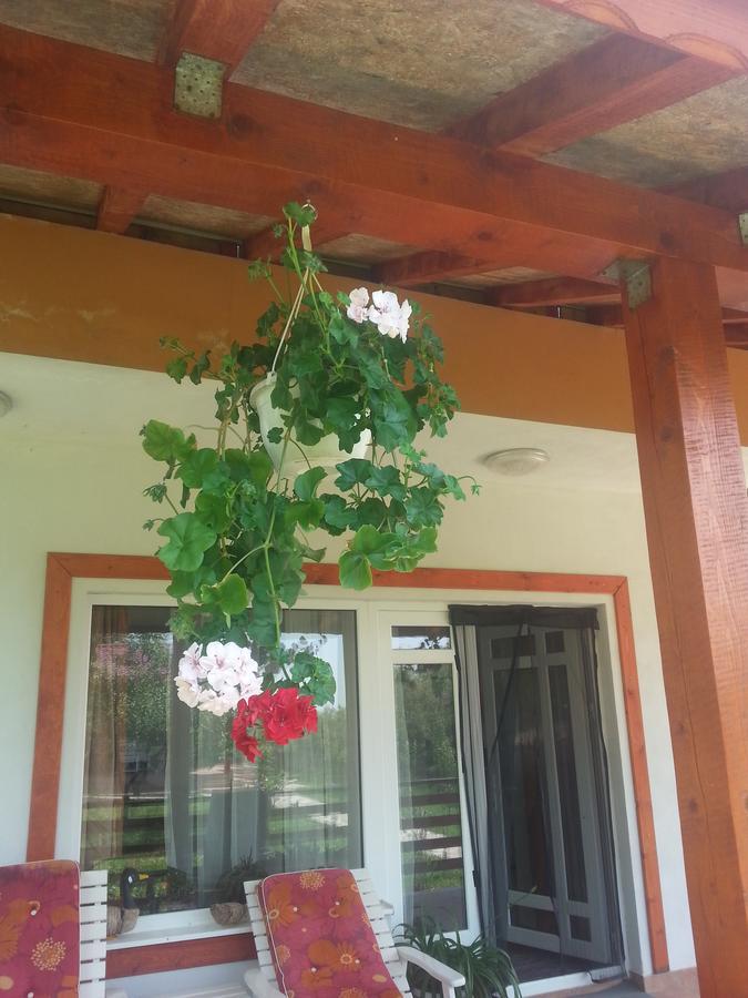Pensiunea Agroturistica Ioana Farm stay Bradulet